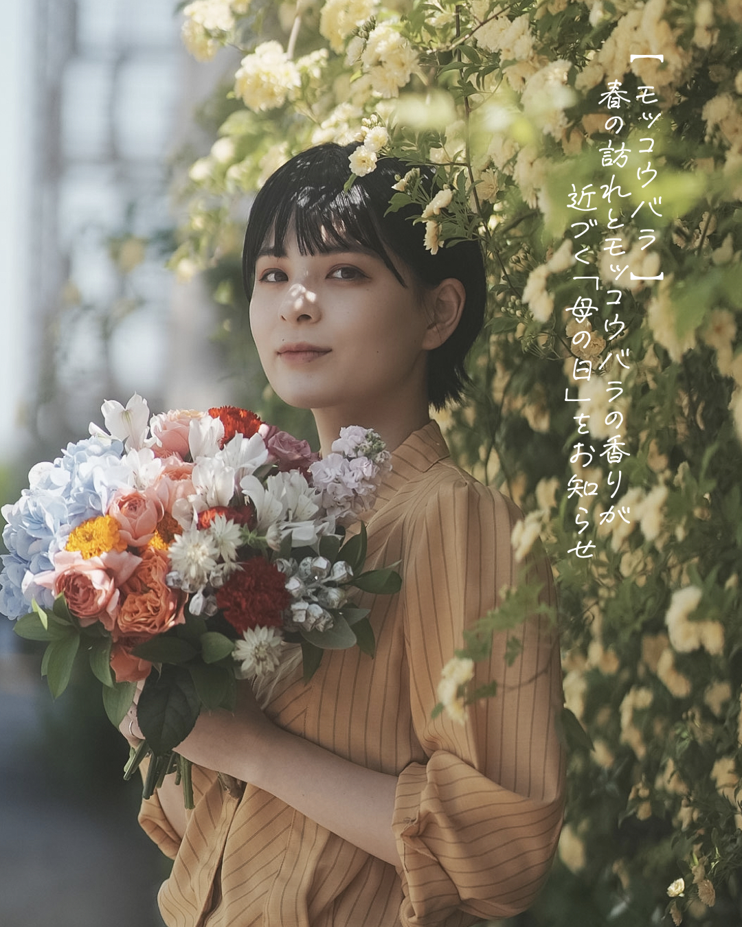 【モッコウバラ】