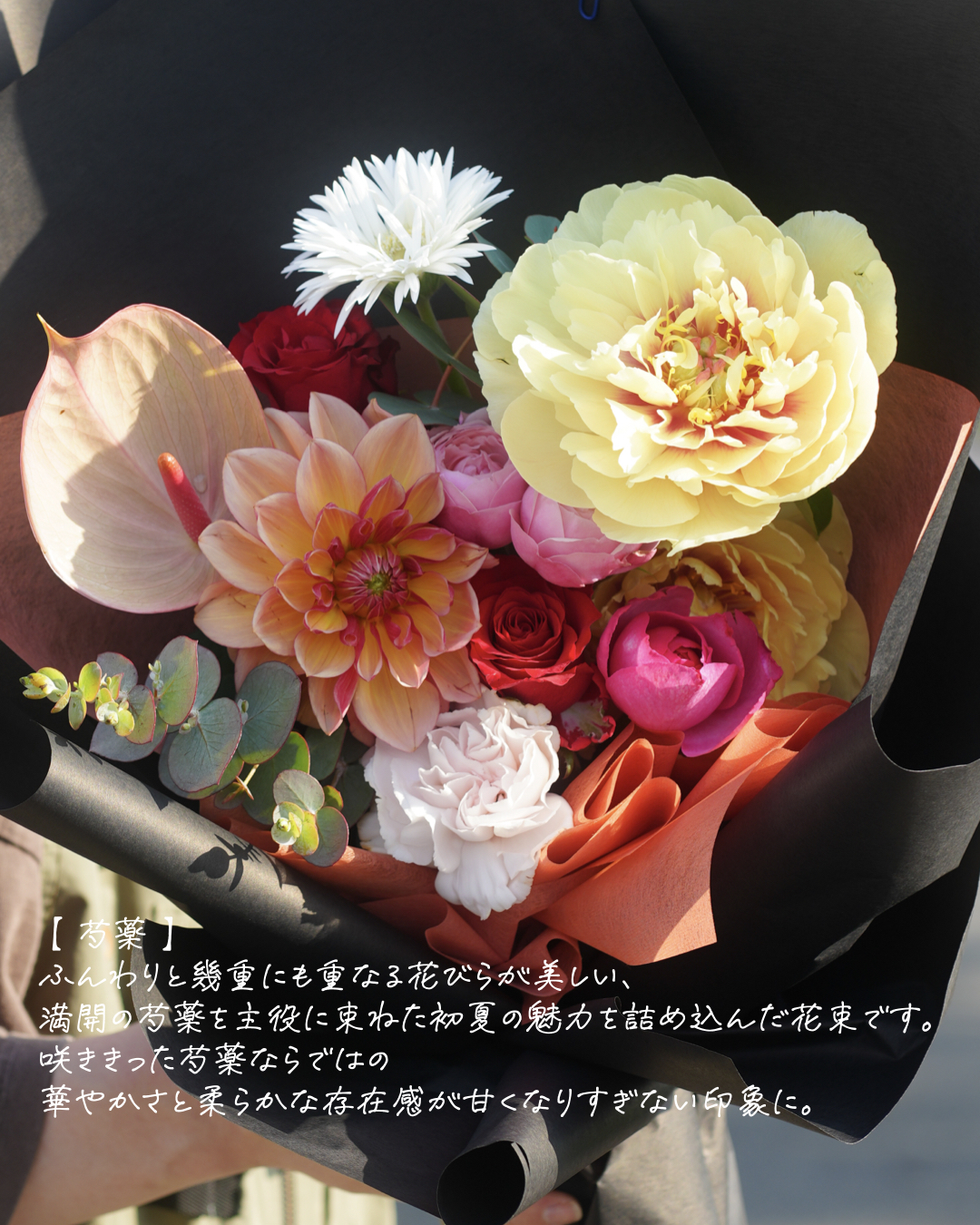 【芍薬】