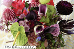 【bouquet】