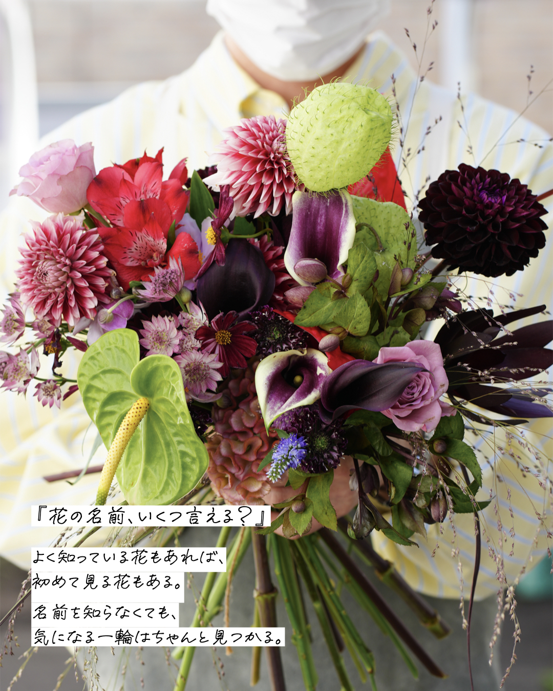 【bouquet】